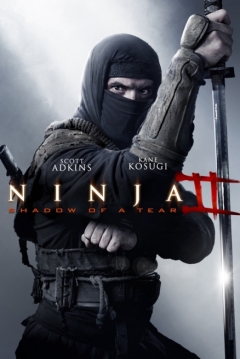 'Ninja 2: Shadow of a Tear'