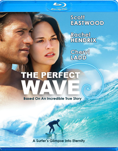 'The Perfect Wave'