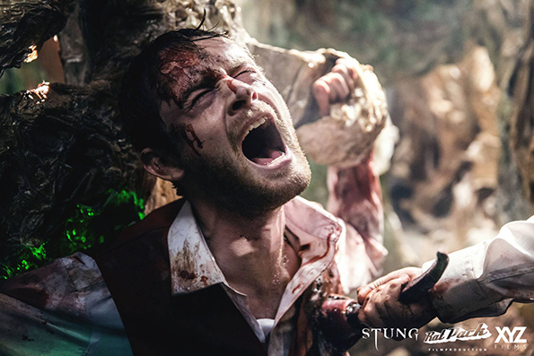 stung-2015-2