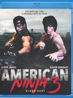 american-ninja-3