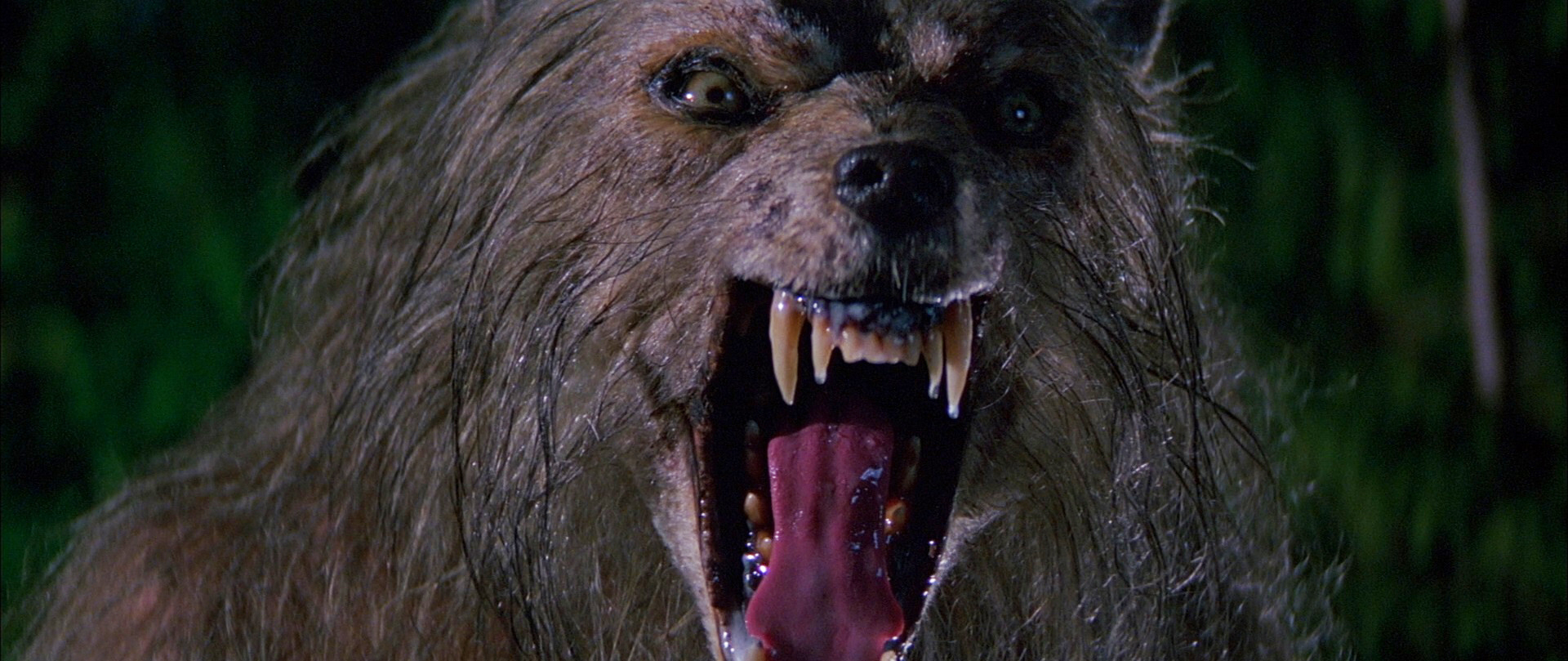 'Bad Moon' is now available on Blu-Ray from Scream Factory!