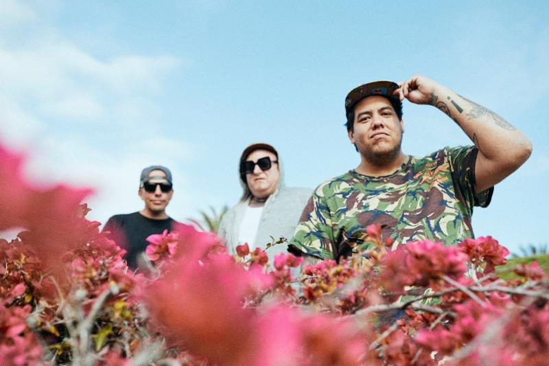 Sublime With Rome