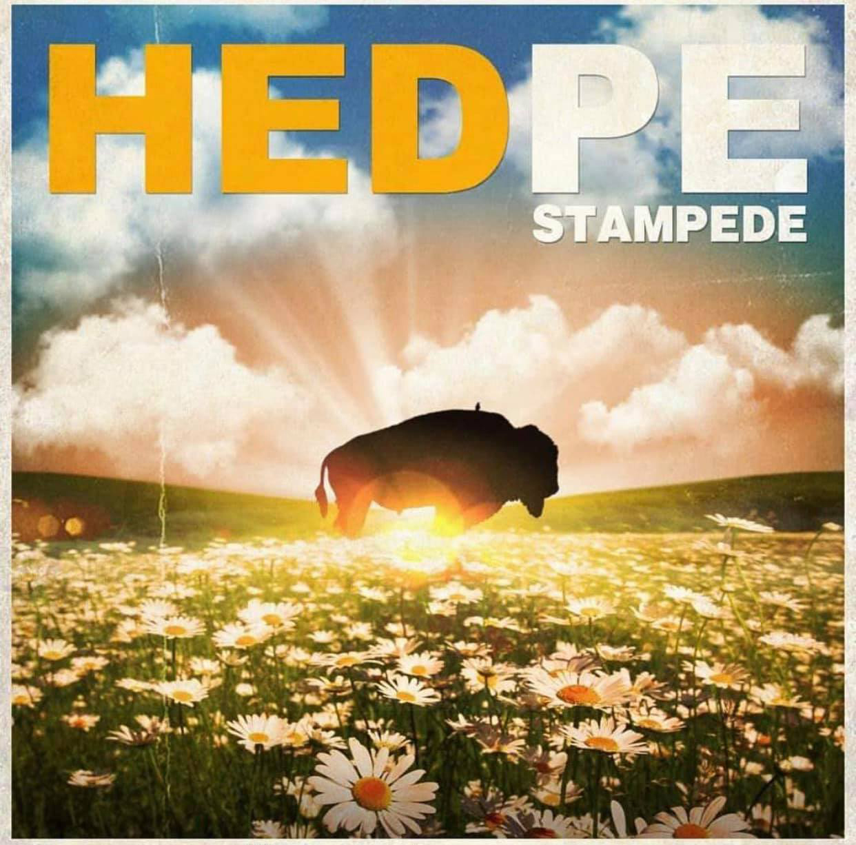 (Hed) PE - Stampade