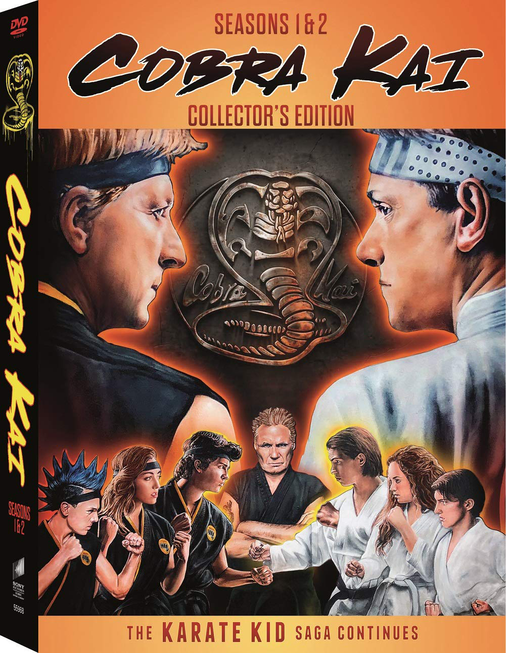 Cobra Kai: Season 1 and 2