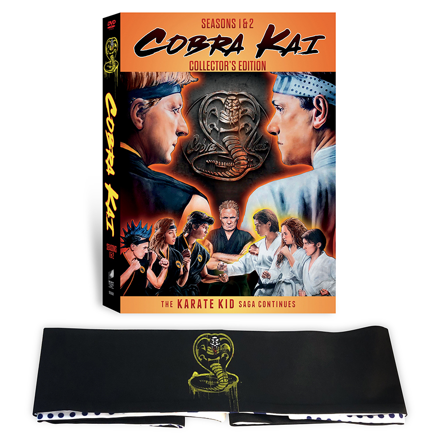 Cobra Kai: Season 1 and 2