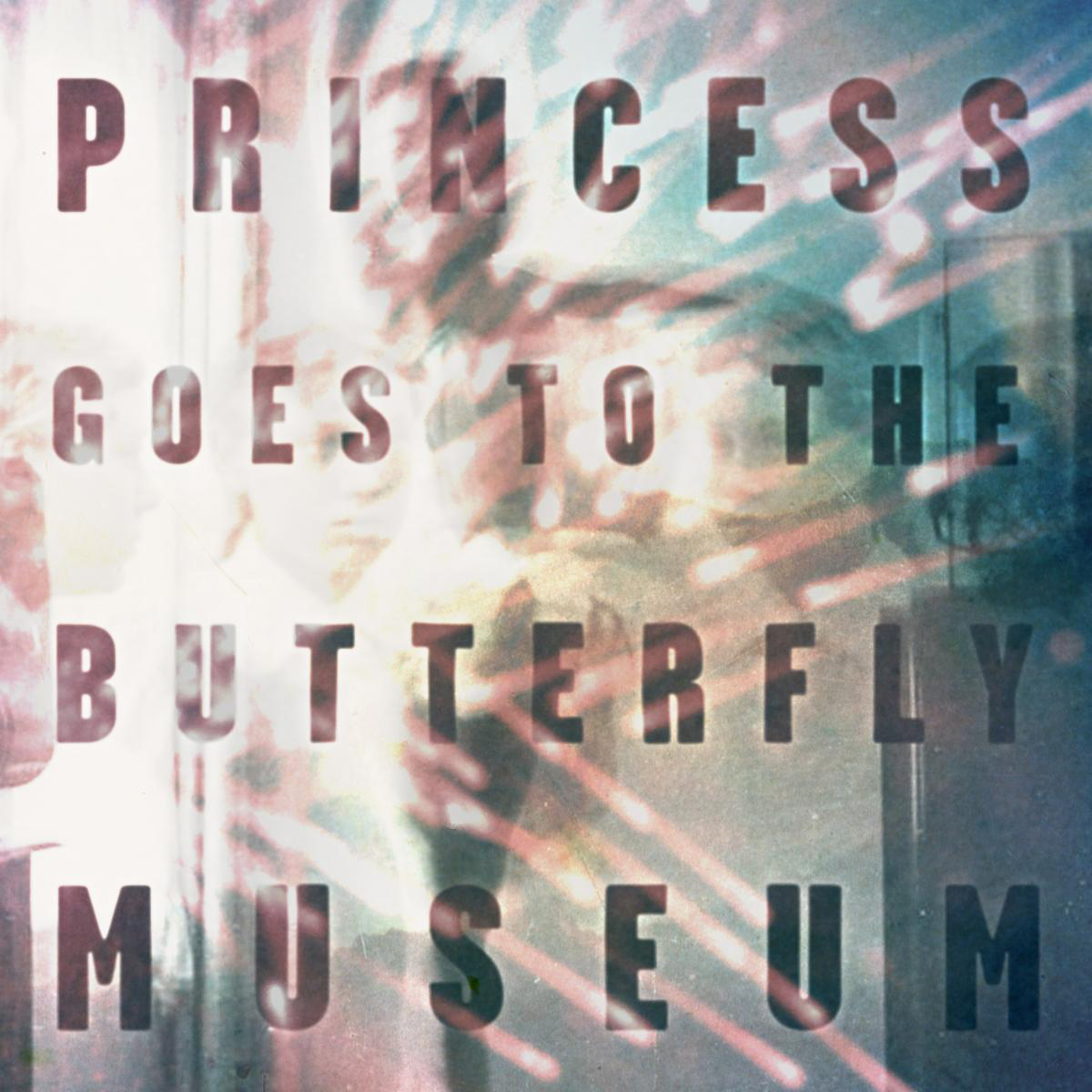 Princess Butterfly Goes To The Museum 