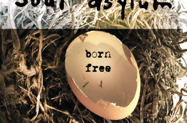 Soul Asylum - "Born Free" EP