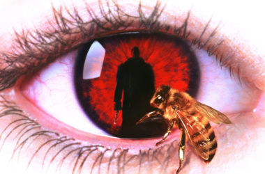 CANDYMAN Collector's Edition 4K UHD