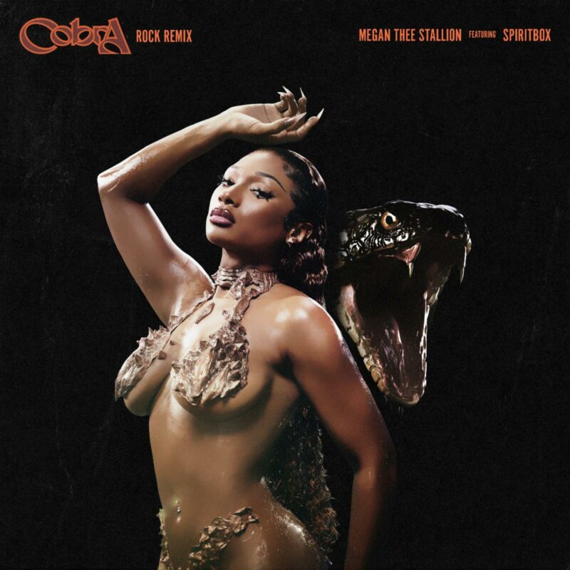 Megan Thee Stallion Cobra Rock Remix