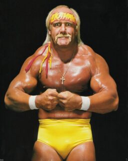 Shocked and deeply saddened by the unexpected passing of the one and only Hulk Hogan. A true icon, a larger-than-life legend, and a childhood hero to millions. He slammed giants, defined eras, and reminded us to say our prayers and take our vitamins. Rest in power, Hulkster. 💔

#HulkHogan #WWELegend #RestInPeace #WrestlingIcon #ThankYouHogan #80sLegend #ImmortalForever